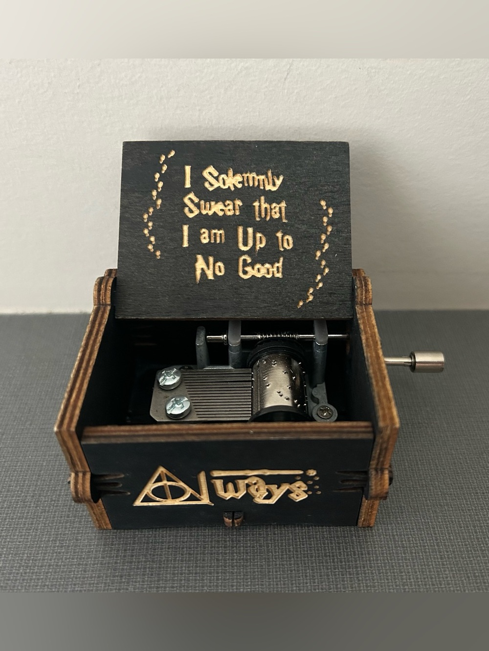 Harry Potter Hedwig’s Theme Music Box